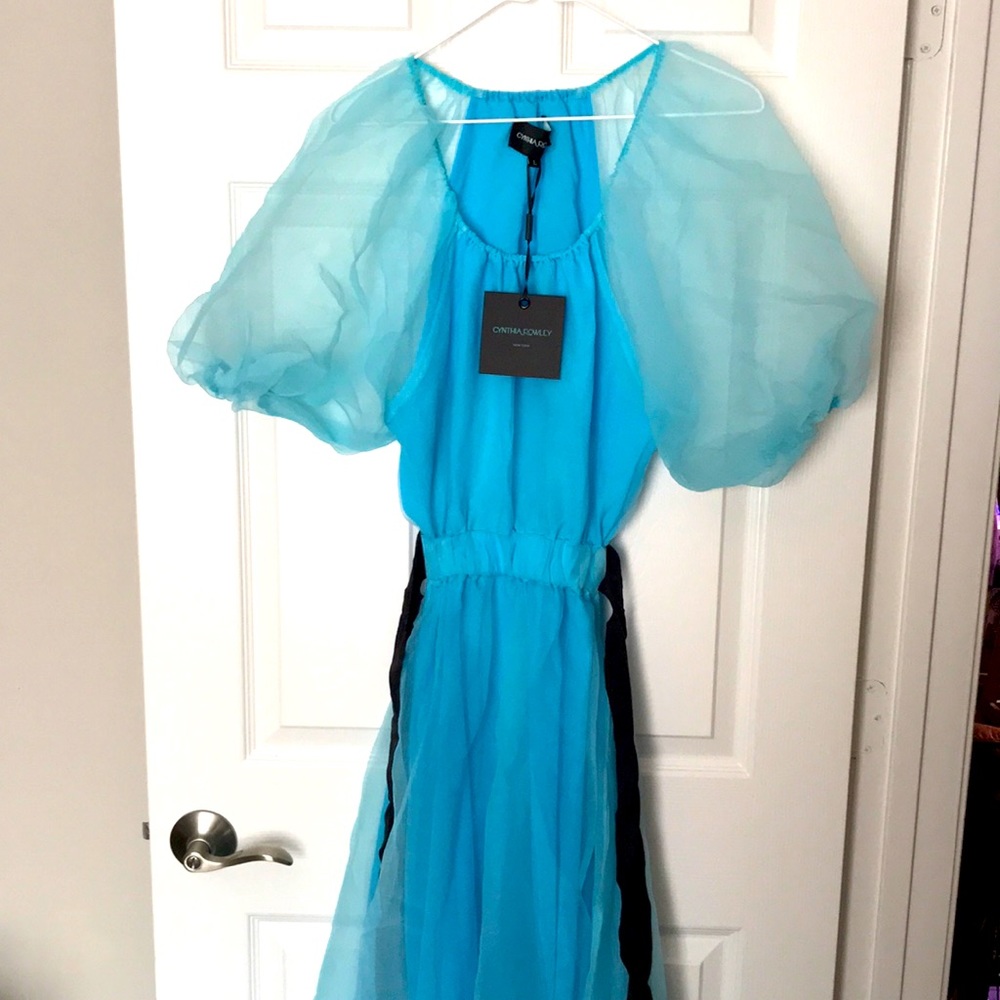 Cynthia Rowley Women’s Blue Clara Organza Dress. Size Large 100% Polyester